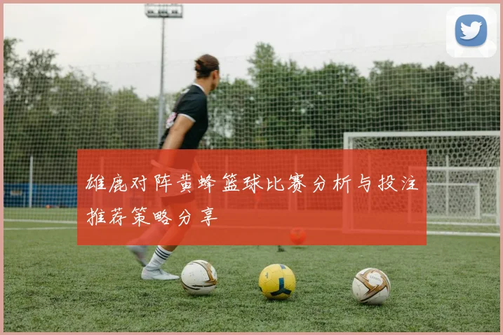 雄鹿对阵黄蜂篮球比赛分析与投注推荐策略分享